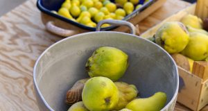 Cuire des coings à basse température