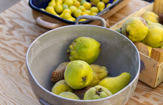 Cuire des coings à basse température