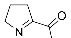 Tout savoir sur la réaction de Maillard